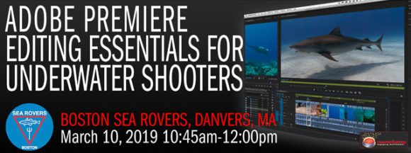 Video editing essentials for underwater videographers